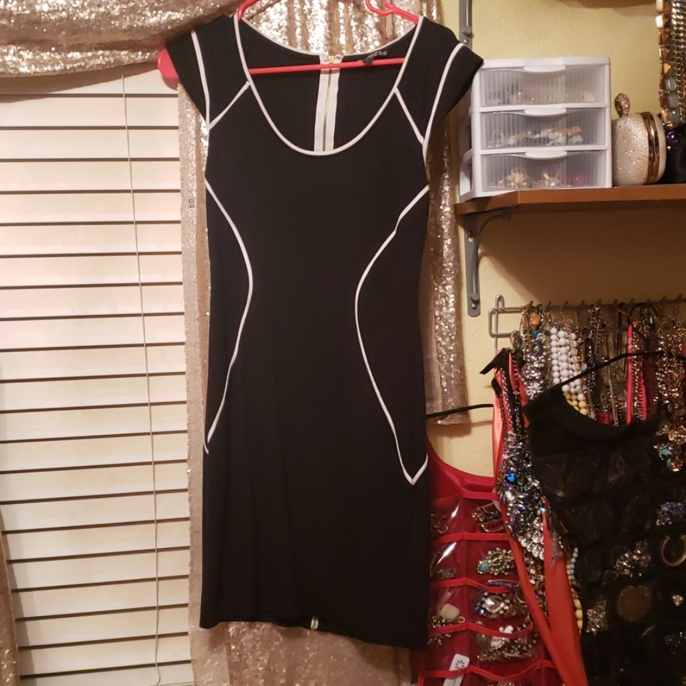 Express bodycon dress